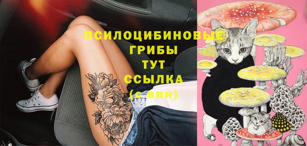 спиды Белокуриха