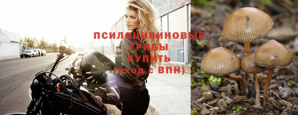 прущая мука Переславль-Залесский