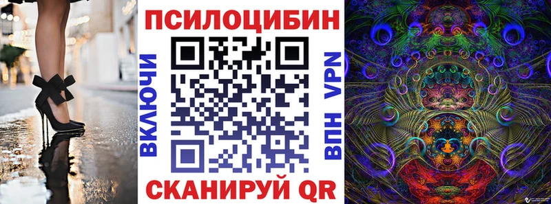 магазин    Покровск  Псилоцибиновые грибы MAGIC MUSHROOMS 